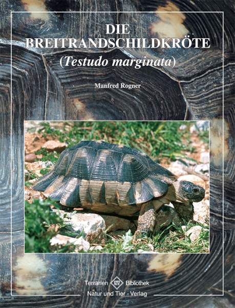 Die Breitrandschildkröte